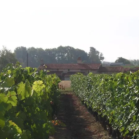 Le Mas D'anjou Maison d'hôtes Tigné