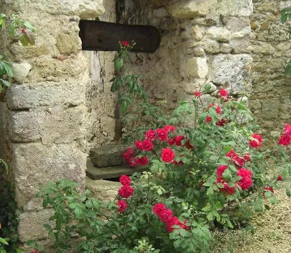 Le Mas D'anjou מלון Tigné